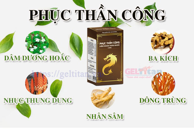 thành phần của thuốc phục thần công